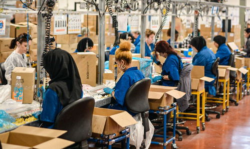 進(jìn)廠打工的大學(xué)生 每天站12個小時 4年存50萬